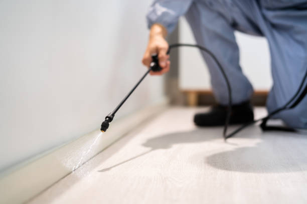 Licensed Termite Control service in Hanceville, AL - Nex Pest Control
