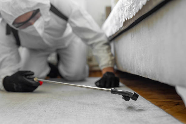 Professional Termite Control technician working in Hanceville, AL