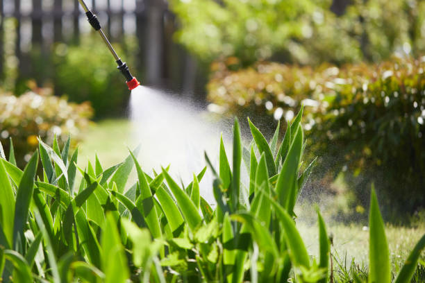 24/7 Emergency Termite Control experts in Hanceville, AL