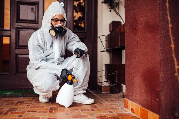 Reliable Termite Control contractor in Hanceville, AL by Nex Pest Control