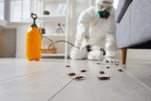 Trusted Emergency Pest Control service in Hanceville, AL - Nex Pest Control