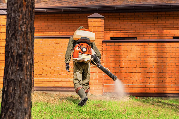 Trusted Cockroach Control service in Hanceville, AL - Nex Pest Control